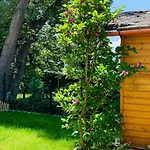 Apartment Bernhard Schmidt-gasse *