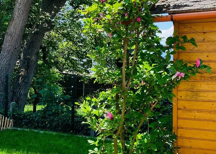 Apartment Bernhard Schmidt-gasse *