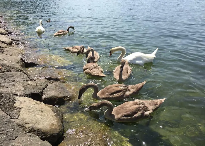 Apartment Bernhard Schmidt-gasse